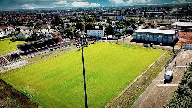 家马德里展 家马德里展